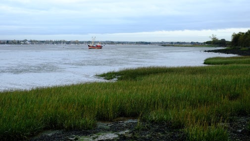 Ship on the Blackwater estuary, Northey Island, Essex
